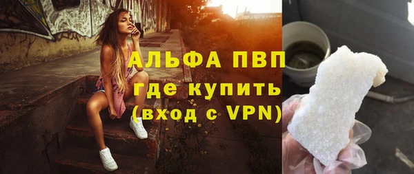 трава Аркадак