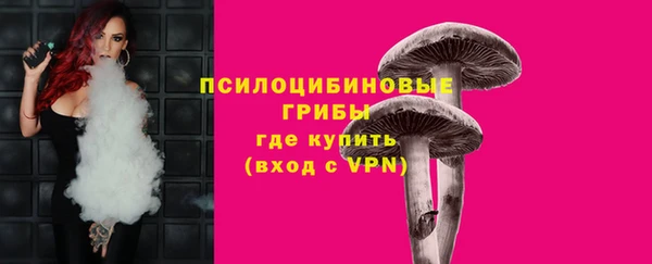 дурь Арсеньев