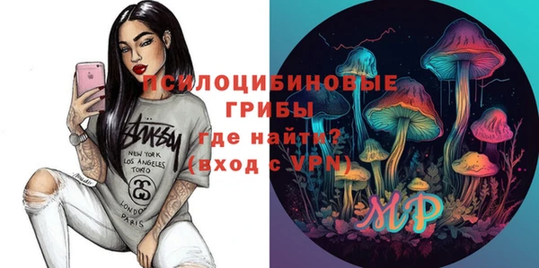 дурь Арсеньев